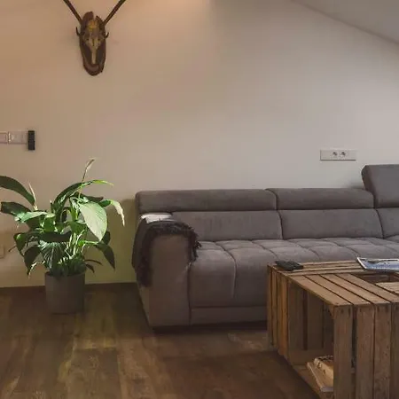 Ninetyfour Apartment Annaberg im Lammertal